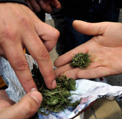 Cannabis: Alemania avanza hacia su regulación